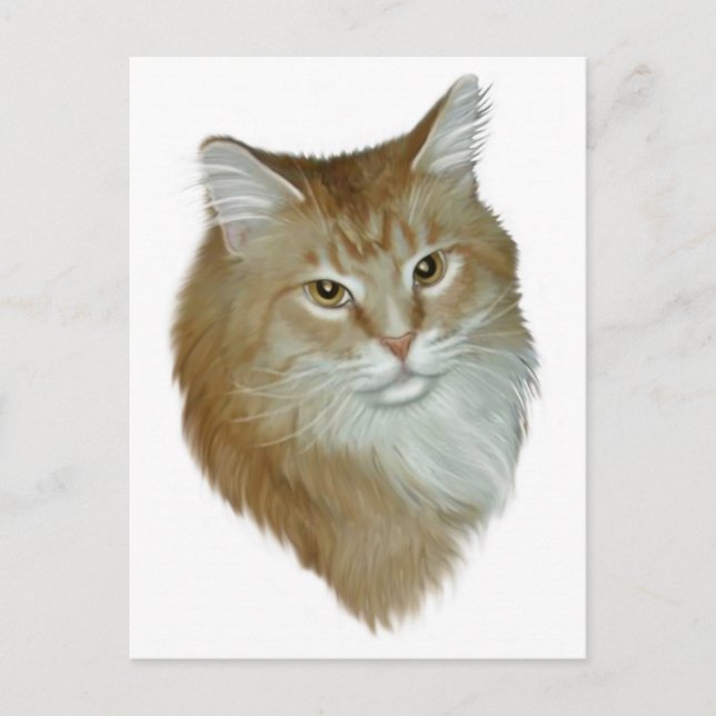 Cartão Postal Red Tabby Maine Coon (Frente)
