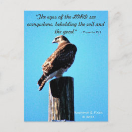 Cartão Postal Red Tail Hawk - Cartão-postal - Provérbios 15:3