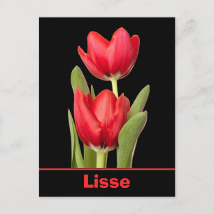 Cartão Postal Red Tulips Lisse