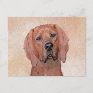 Cartão Postal Redbone Coonhound Painting - Arte De Cachorro Orig