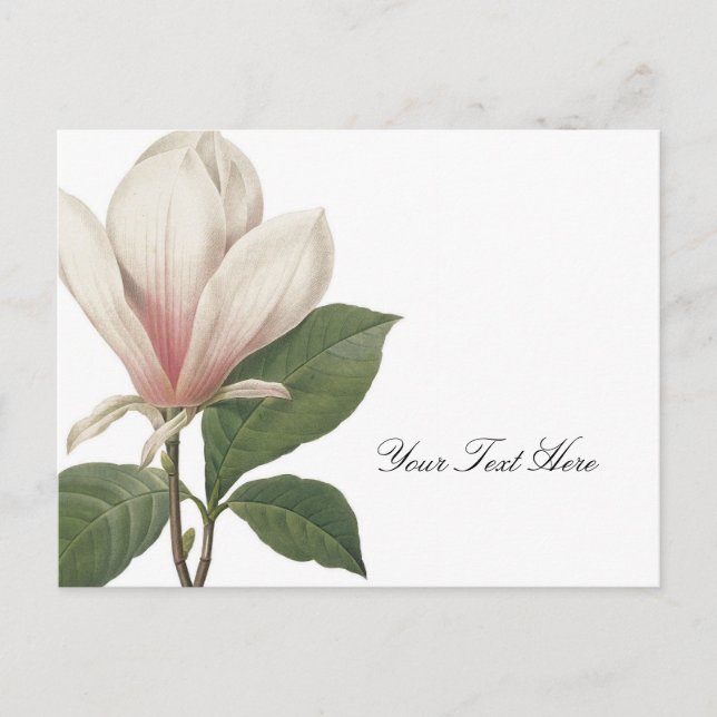 Cartão Postal Redoute Magnolia (Frente)