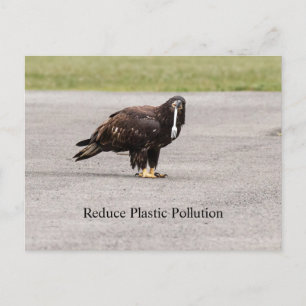 Cartão Postal Reduzir a Poluição Plástica