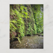 Redwood National and State Parks, Califórnia