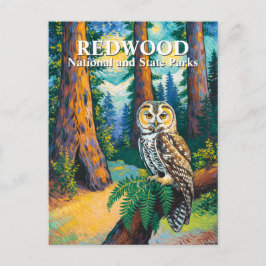Cartão Postal Redwood National Park Forest Owl Van Gogh Style