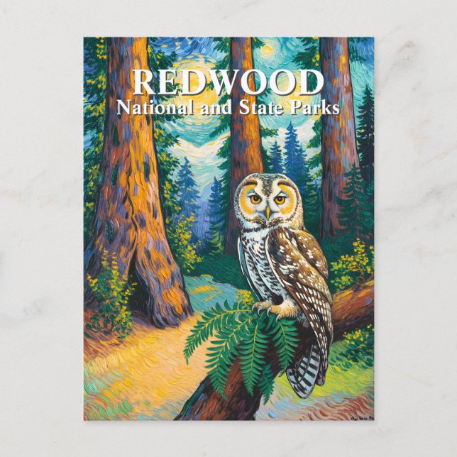 Cartão Postal Redwood National Park Forest Owl Van Gogh Style (Frente)
