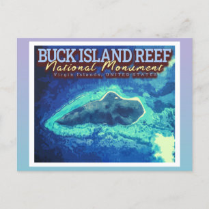 CARTÃO POSTAL REEF BUCK ISLAND - ILHAS VIRGENS ESTADOS UNIDOS