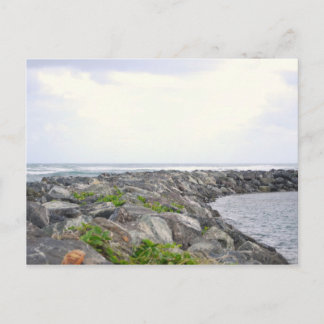 Cartão Postal Reef_Dorado PR