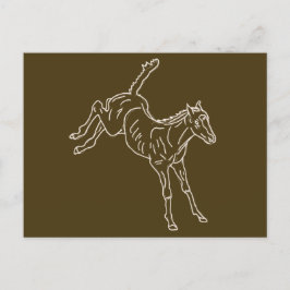 Cartão Postal Refeição de Cavalo - linha transparente.
