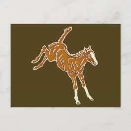 Cartão Postal Refeição de Cavalo - multicor transparente.