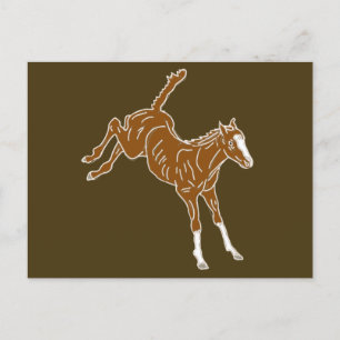 Cartão Postal Refeição de Cavalo - uni-coloração transparente.