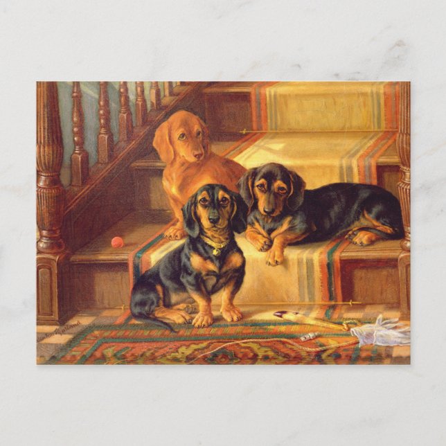 Cartão Postal Refinities elegante (Frente)