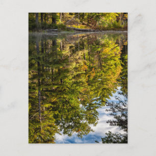 Cartão Postal Reflections in Red Eagle Pond   White Mountains