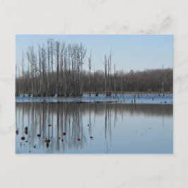 Cartão Postal Reflexão