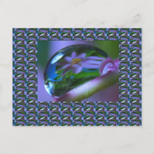 Cartão Postal REFLEXÃO da ventoinha em uma GOTA DE DROP . presen