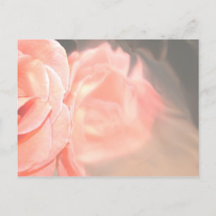 Cartão Postal Reflexão rosa em prata