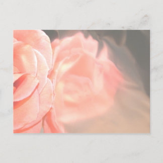 Cartão Postal Reflexão rosa em prata