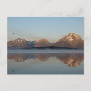 Cartão Postal Reflexão sobre Jackson Lake Dam em Grand Teton Par