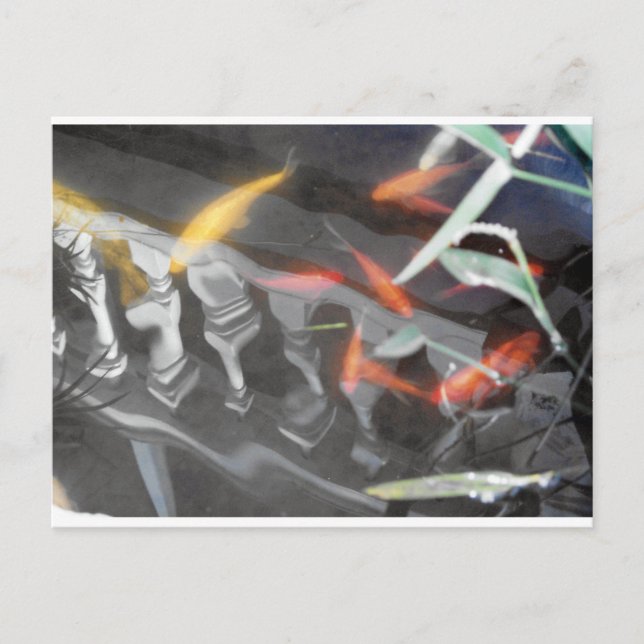 Cartão Postal Reflexão sobre Moedas (Frente)