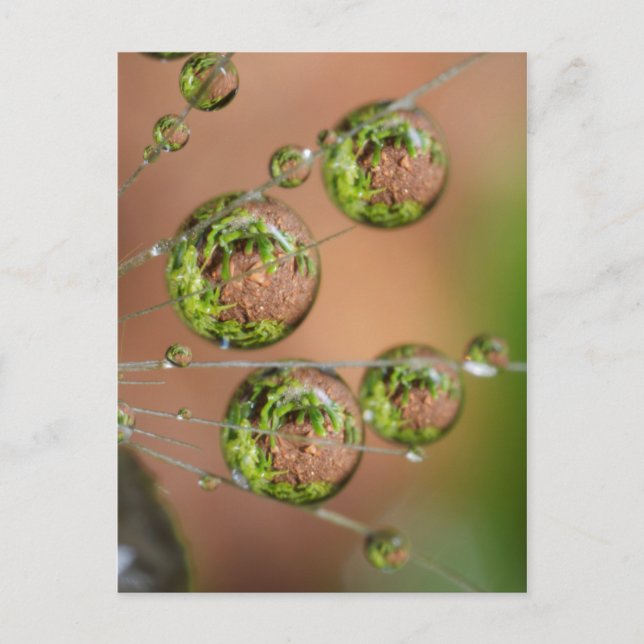 Cartão Postal Reflexo da Gota de Água (Frente)