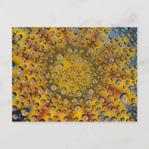 Cartão Postal Reflexo de Largura da flor, Crescent City,