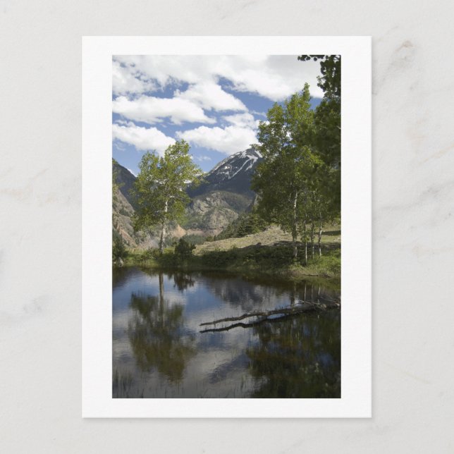 Cartão Postal reflexões ao longo da trilha (Frente)