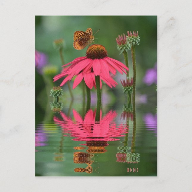 Cartão Postal Reflexões da borboleta de Verão (Frente)