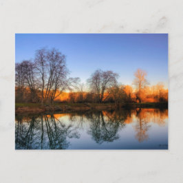 Cartão Postal Reflexões Da Solitude