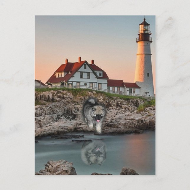 Cartão Postal Reflexões do Farol (Frente)