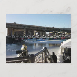 Cartão Postal Reflexões Do Gelo