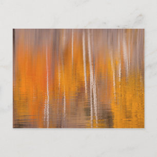 Cartão Postal Reflexões do outono em Beaver Pond   Winthrop, WA