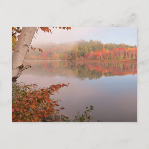 Cartão Postal Reflexões do outono para além da ave