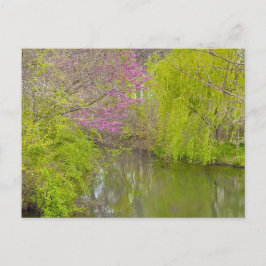 Cartão Postal Reflexões na Natureza