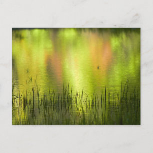 Cartão Postal Reflexões no lago Mirror Yosemite