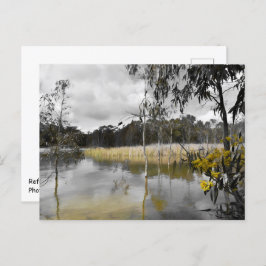 Cartão Postal Reflexões Por Baixo Do Céu Da Cinza