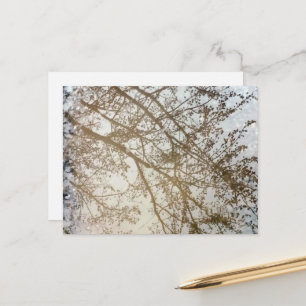 Cartão Postal Reflexos da Árvore de Primavera na Poça da Trilha