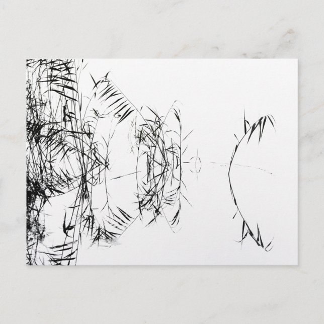 Cartão Postal Reflexos de Água de Junco Preto e Branco Abstrato (Frente)