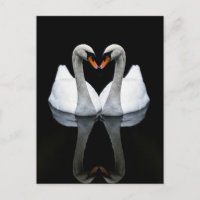 Reflexos do Amor, Forma de Coração, Cisnes Brancos