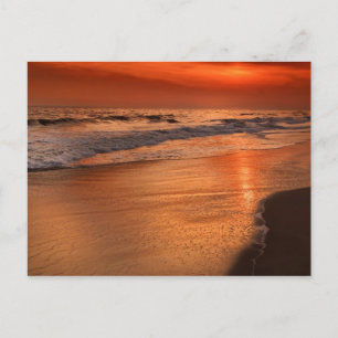 Cartão Postal Reflexos do pôr do sol nas nuvens e na costa do oc