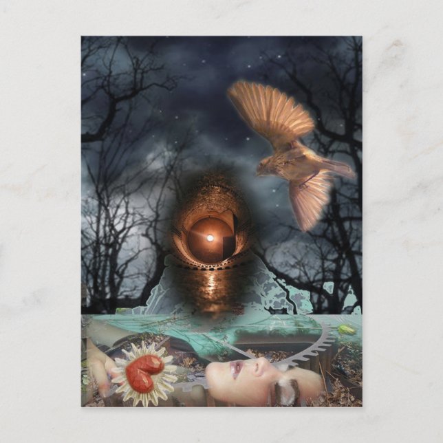 CARTÃO POSTAL REFÚGIO DA OFÉLIA (Frente)