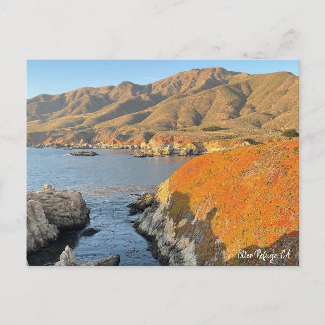 Cartão Postal Refúgio Externo, AC (Frente)