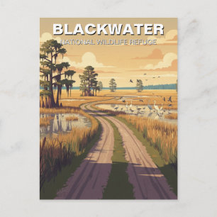 Cartão Postal Refúgio Nacional de Vida Selvagem Blackwater de Ma