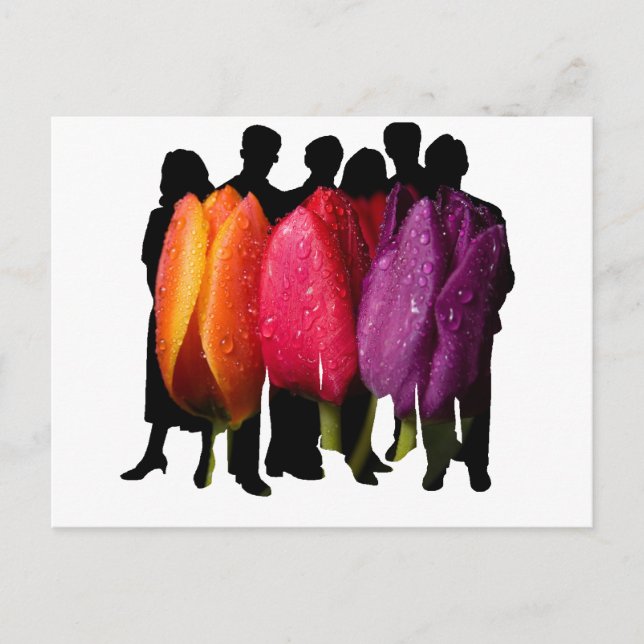 CARTÃO POSTAL REFÚGIO SEGURO (Frente)