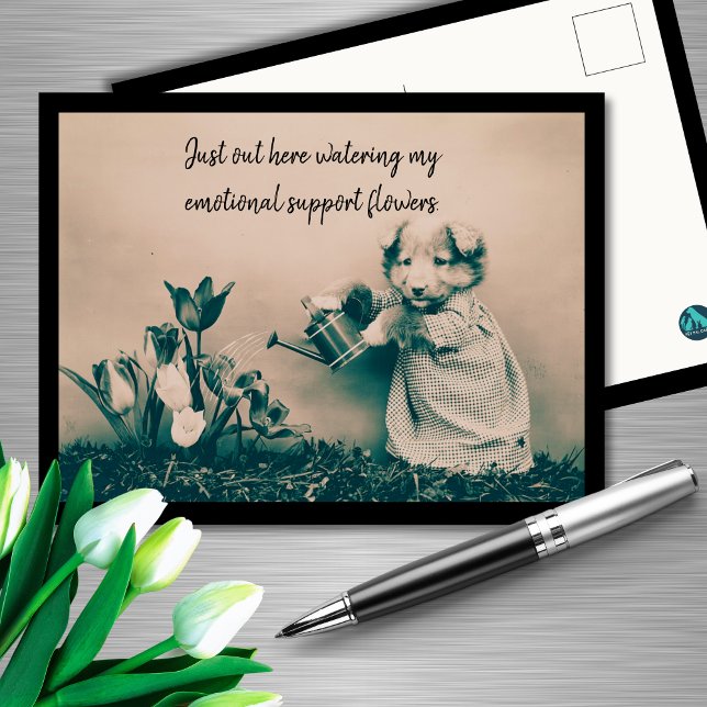 Cartão Postal Regando Minhas Flores de Suporte Emocional Cachorr (Criador carregado)