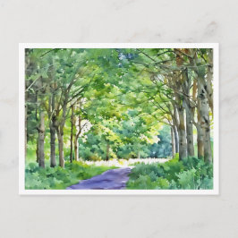 Cartão Postal Região holandesa de Salland Floresta Westerveldse