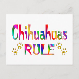 Cartão Postal Regra Chihuahuas