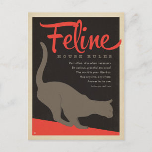 Cartão Postal Regra da Casa Felina