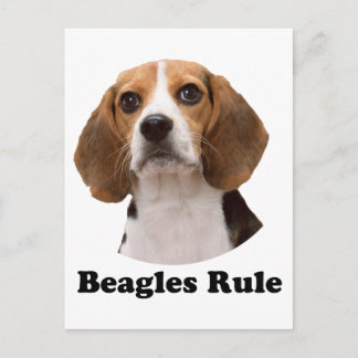 Cartão Postal Regra de Beagles