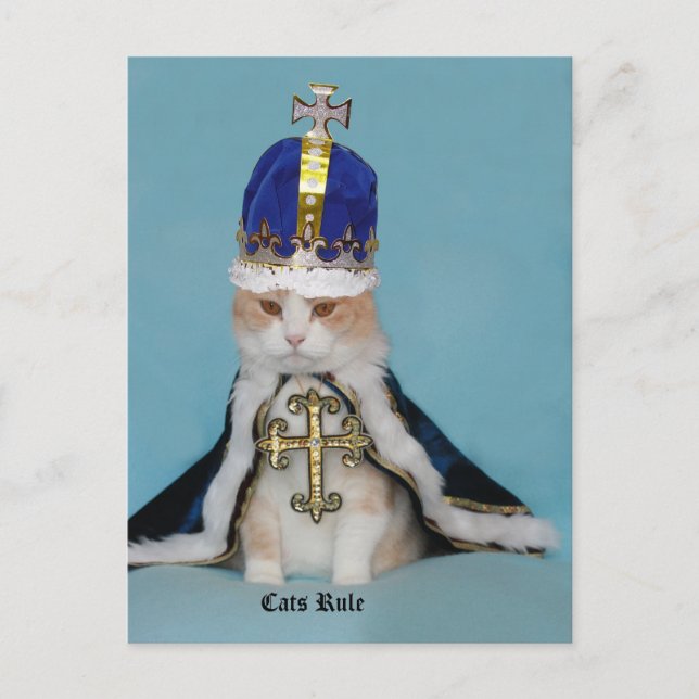 Cartão Postal Regra de Gatos (Frente)