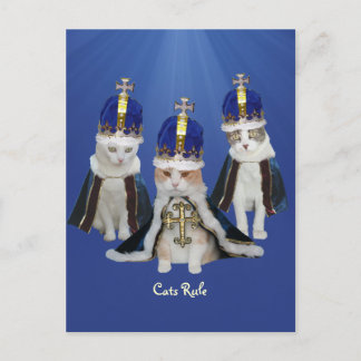 Cartão Postal Regra de Gatos