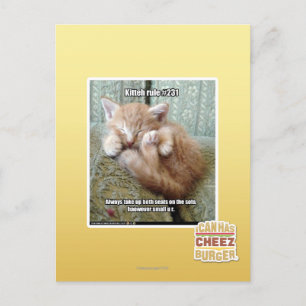 Cartão Postal Regra de Kit nº 231